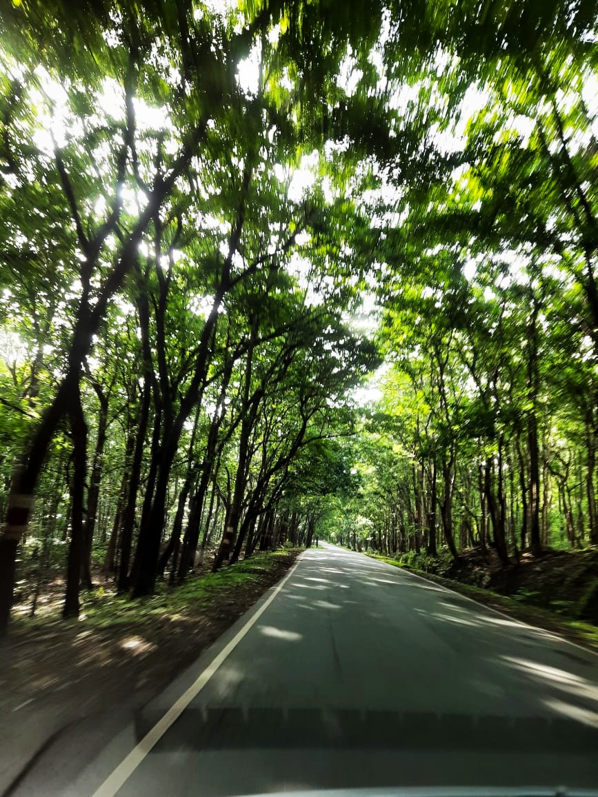 kamathrok's tweet photo. Good 🌄 Morning..Have a splendid Saturday. Hear a good news, brush aside the disappointment, laugh and eat and mostly Live. Jai Shree Ram 💐
#Missing
#Favouritepart of #longdrive https://t.co/RbW1u5CKvf