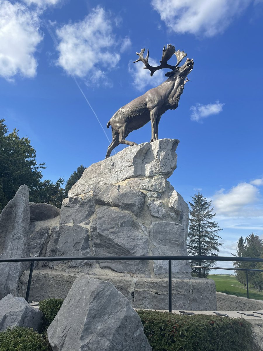 QEHS_English tweet media