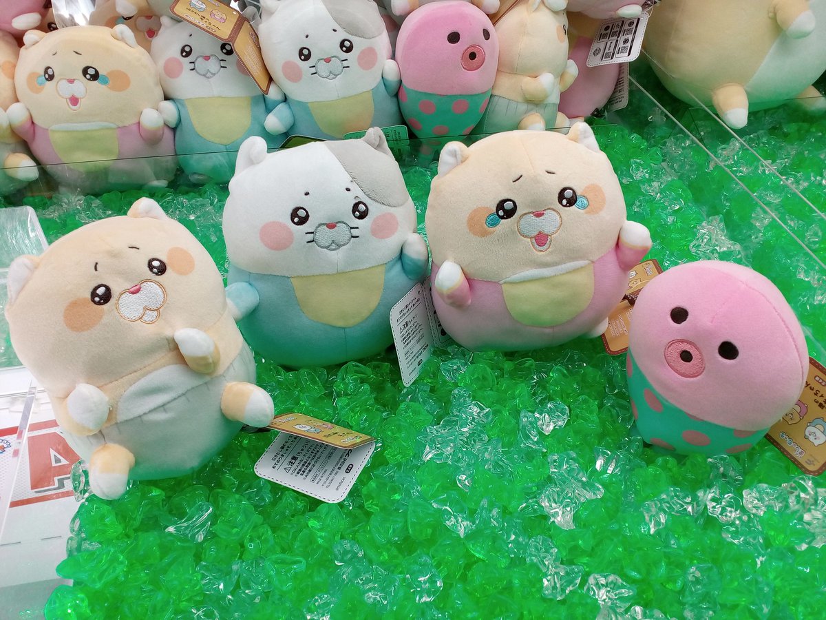 #泣きむし猫のキィちゃん - Twitter Search / Twitter