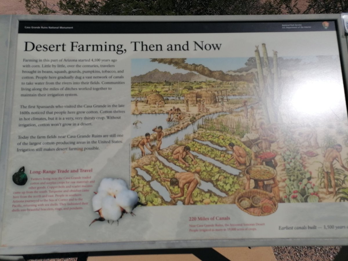DrGreenRoof's tweet photo. So many examples of ancient water harvesting and irrigation in S Arizona. Very large historic civilisation based on desert agriculture. Disappeared in 1400s with water availability likely factor. Hand dug canals still is use and visible today! #Nuffield22 #longevity https://t.co/ModFY43xPr