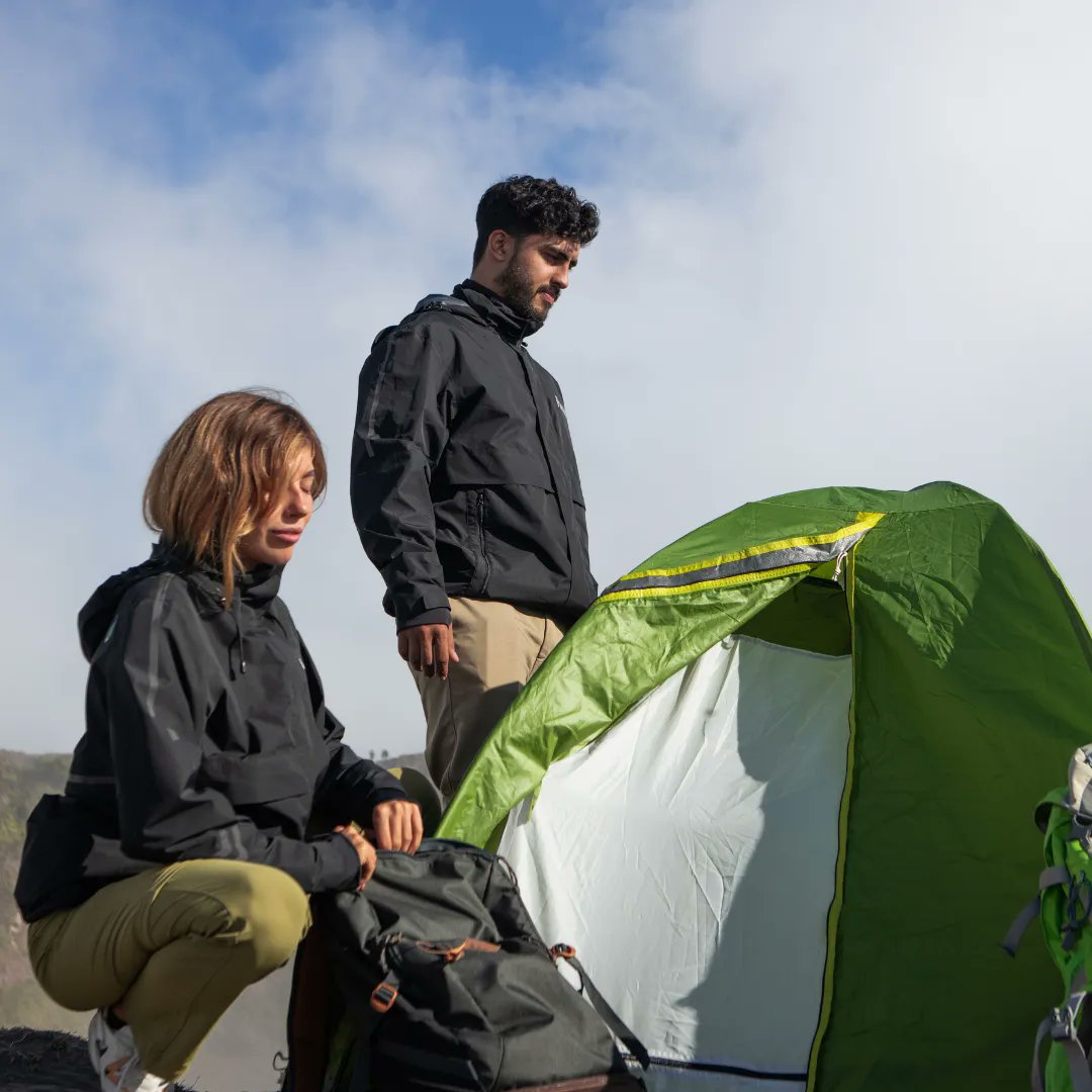 Pangea Movement tweet media