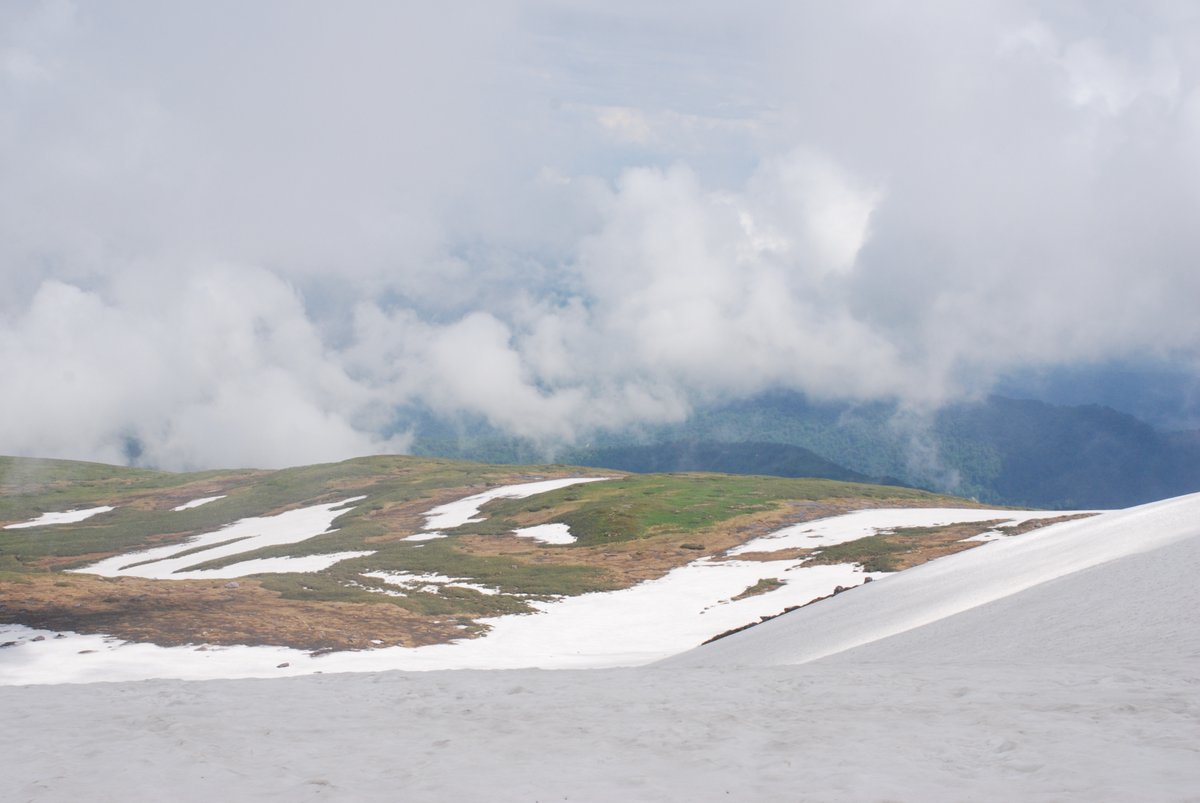 国道211号の最新通行止情報 今日現在・リアルタイム速報｜ナウティス