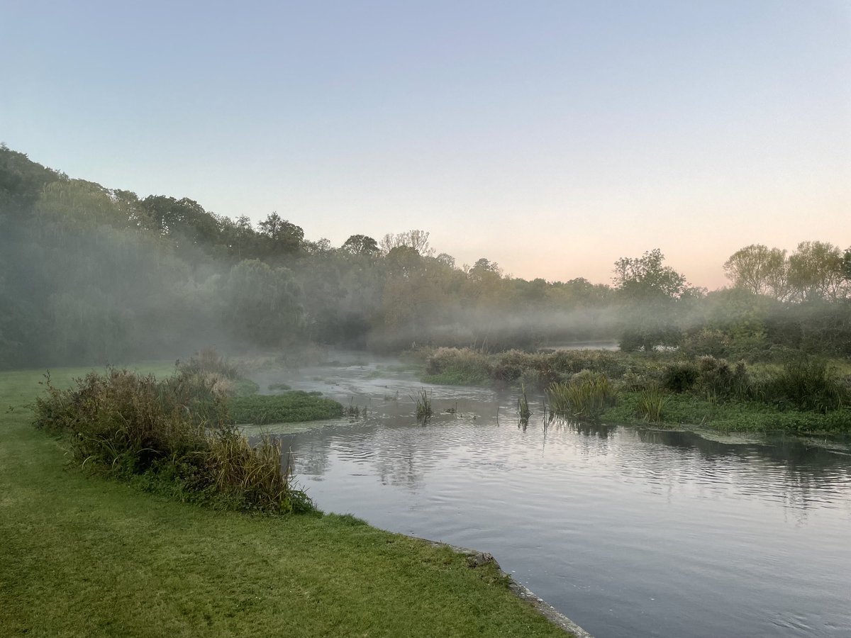 afoolnhistackle's tweet photo. Sometimes, I quite like October mornings… https://t.co/9Cct81ZXYC