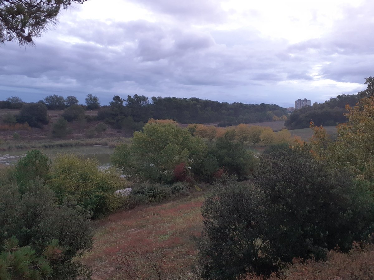<a href="/EspaisPonent/">EspaisNaturalsPonent</a> 7:30h Començo Marató ornitológica #Oktobirdfest a l'entorn de les llacunes artificials de la depuradora  Sant Guim de Freixenet (#laSegarra)