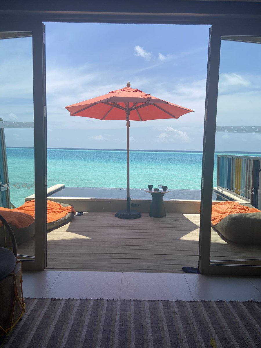 Sarah Walker (@sarahwalker74sw) on Twitter photo 