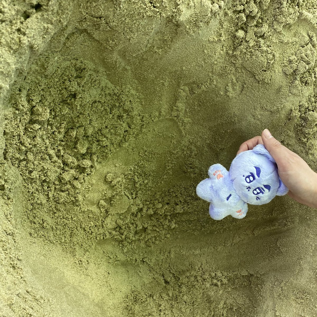 9979의 미결사건이 되기로 결심한 꾸미베어