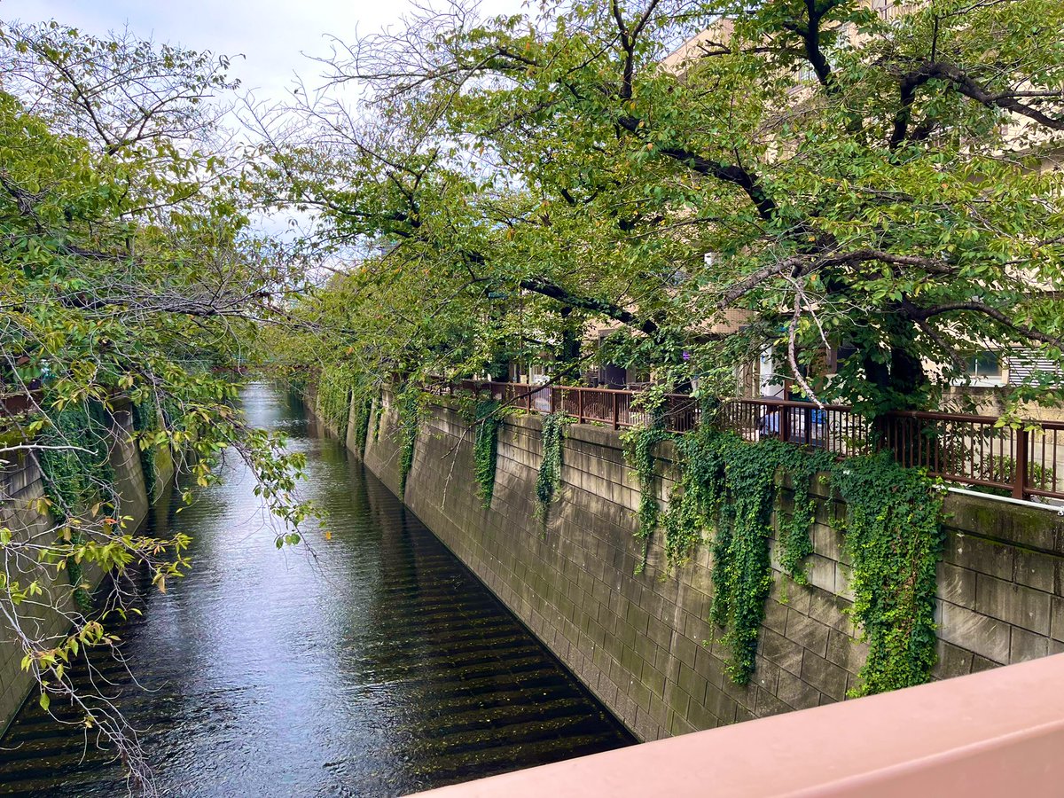 Teachhack3's tweet photo. ここが、中目黒。
drip。 https://t.co/TuIrVwab0Z