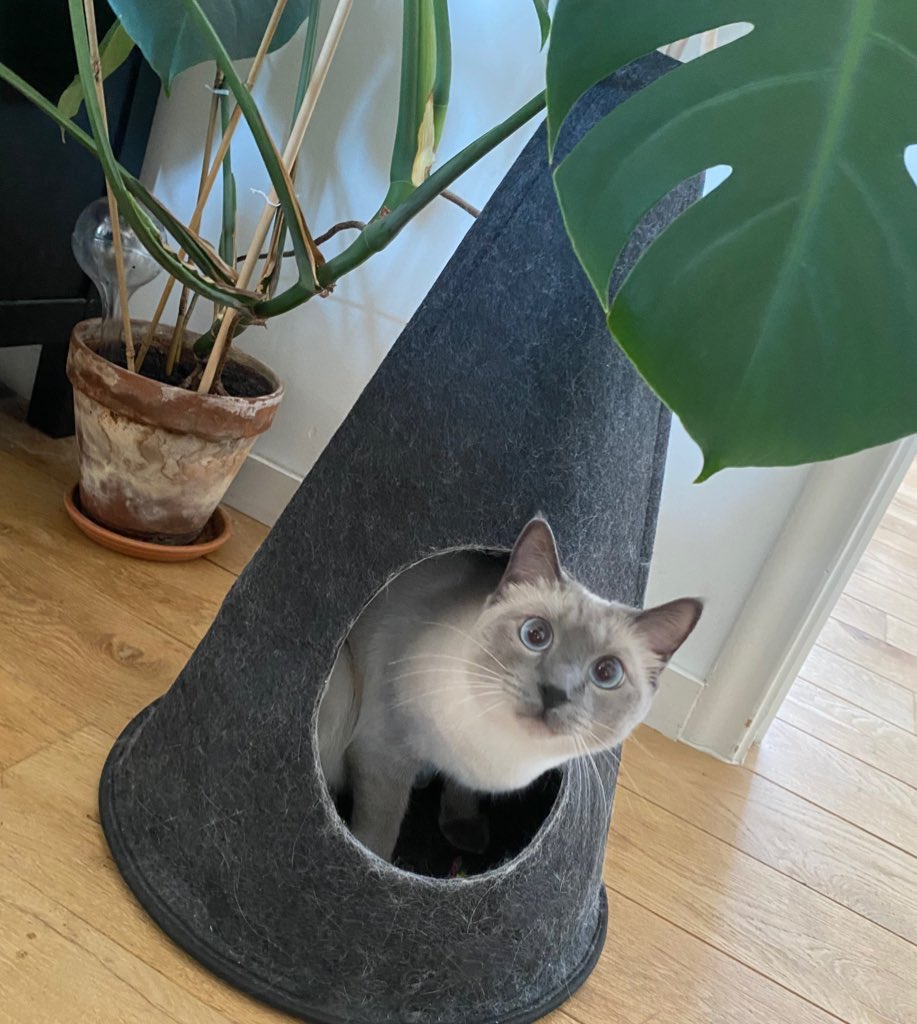 tavumarie's tweet photo. « T’as aucune autorité » 

Mais quand il fait une bêtise comment je suis supposée me fâcher même ? https://t.co/X3WEljaBNd