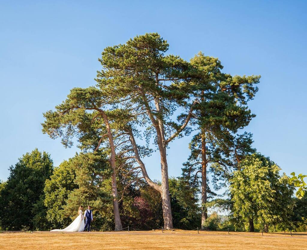 Photography Business Coach 🍋 tweet media