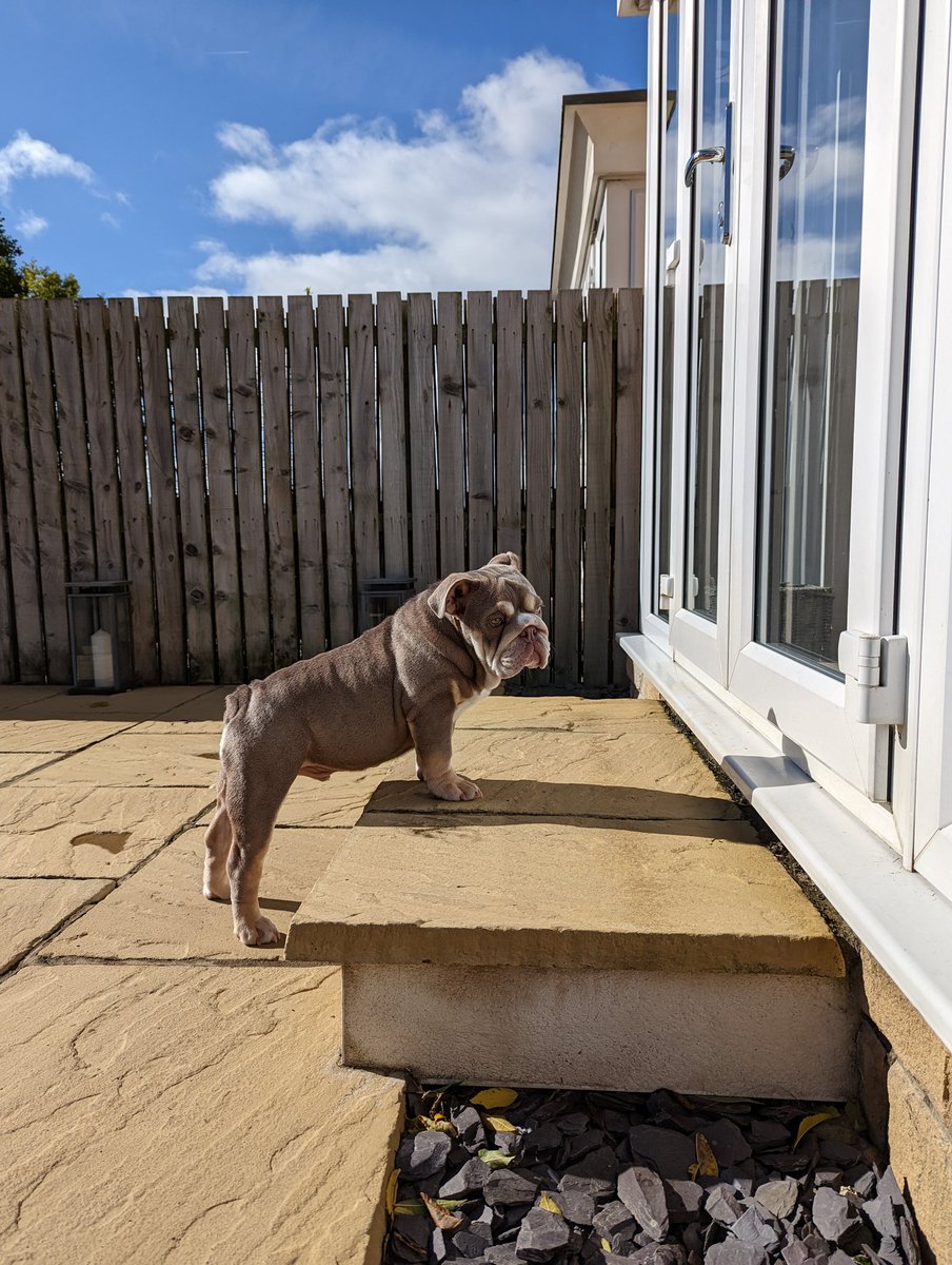 Danny Silvester tweet media