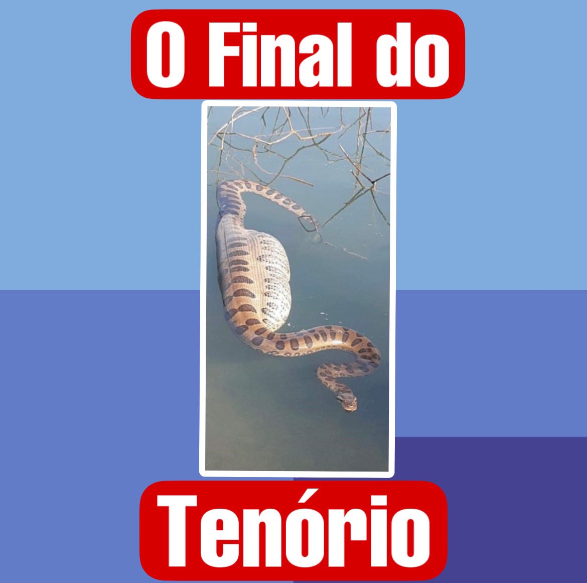 PopTopBrasil's tweet photo. O final do Tenório! #Pantanal #utimocapitulo #MariaBruaca #FimPantanal https://t.co/cyl4hV2mhL