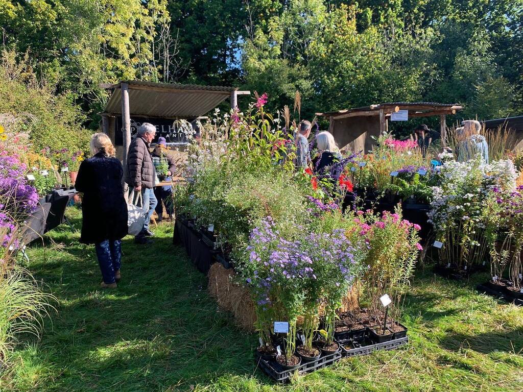 @greatdixterofficial Autumn Plant Fair 🍂 What a way to end the season and sunshine ☀️ too 👏👍
#greatdixter #greatdixterhouseandgardens #greatdixterplantfair #plantfair #autumnflowers #gardensofinstagram #sussexgardens #pelhamplants #pelhamplantsnursery instagr.am/p/Cjc1QJ1q9Mo/