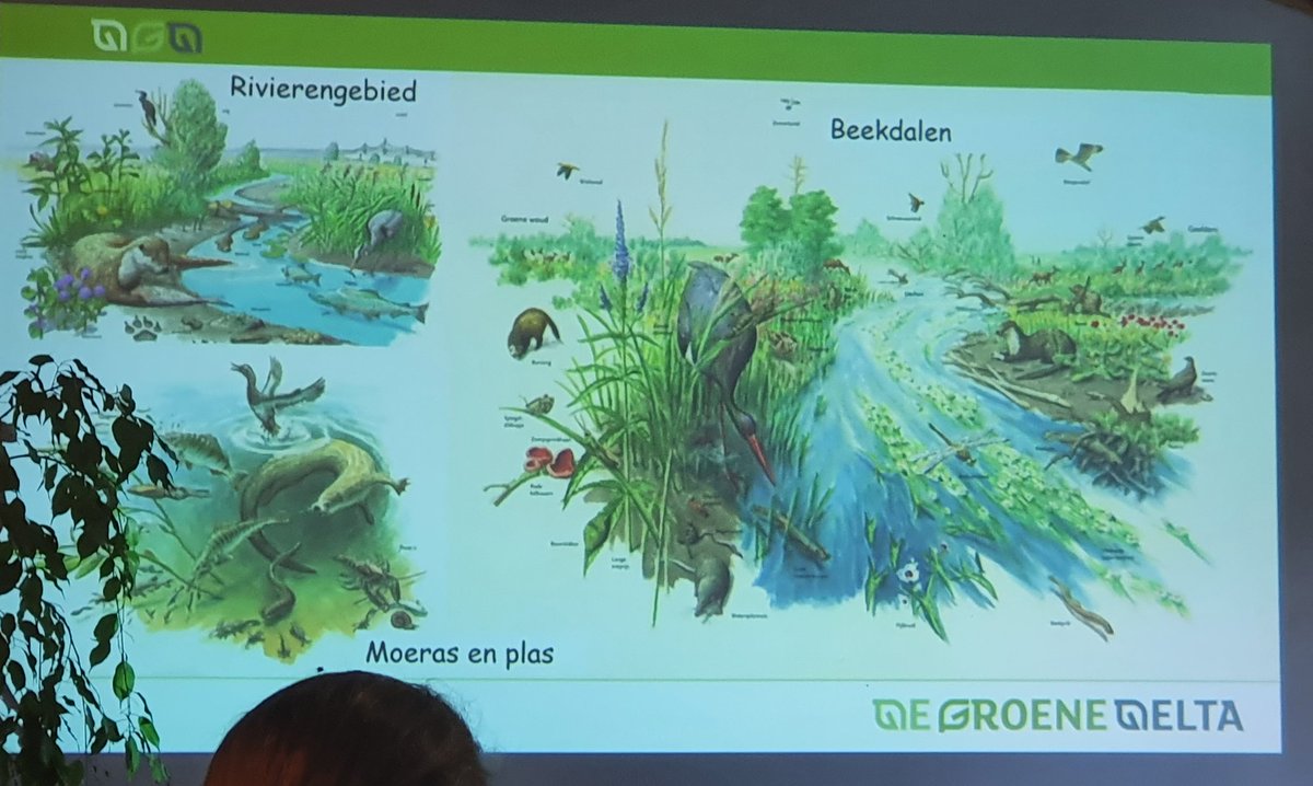 Cindy de Jonge-Stegink tweet media