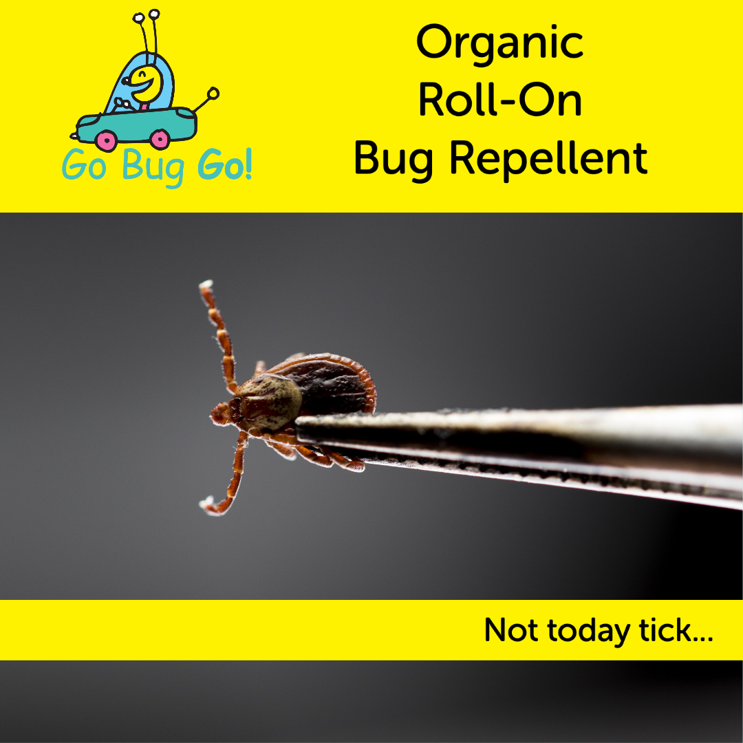 GoBugGo1 tweet picture