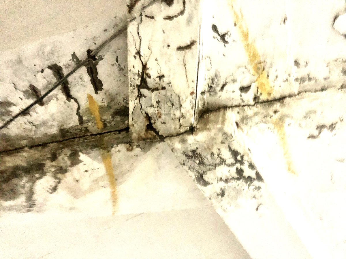 CentralPark-2 Bellevue RWA (@cp2bellevuerwa) on Twitter photo Structural audit started today in Central Park-2 and best quality claimed in the market can be seen #CentralPark #CentralParkResorts #CentralParkFlowerValley #Bellavista <a href="/cmohry/">CMO Haryana</a> <a href="/mlkhattar/">Manohar Lal</a> @dcmohry <a href="/dtcphry/">Director Town & Country Planning</a> <a href="/CentralParkIn/">Central Park</a> <a href="/PMOIndia/">PMO India</a> <a href="/narendramodi/">Narendra Modi</a> <a href="/Rao_InderjitS/">Rao Inderjit Singh</a> <a href="/hareragurugram3/">harera gurugram</a> Structural audit started today in Central Park-2 and best quality claimed in the market can be seen #CentralPark #CentralParkResorts #CentralParkFlowerValley #Bellavista <a href="/cmohry/">CMO Haryana</a> <a href="/mlkhattar/">Manohar Lal</a> @dcmohry <a href="/dtcphry/">Director Town & Country Planning</a> <a href="/CentralParkIn/">Central Park</a> <a href="/PMOIndia/">PMO India</a> <a href="/narendramodi/">Narendra Modi</a> <a href="/Rao_InderjitS/">Rao Inderjit Singh</a> <a href="/hareragurugram3/">harera gurugram</a>