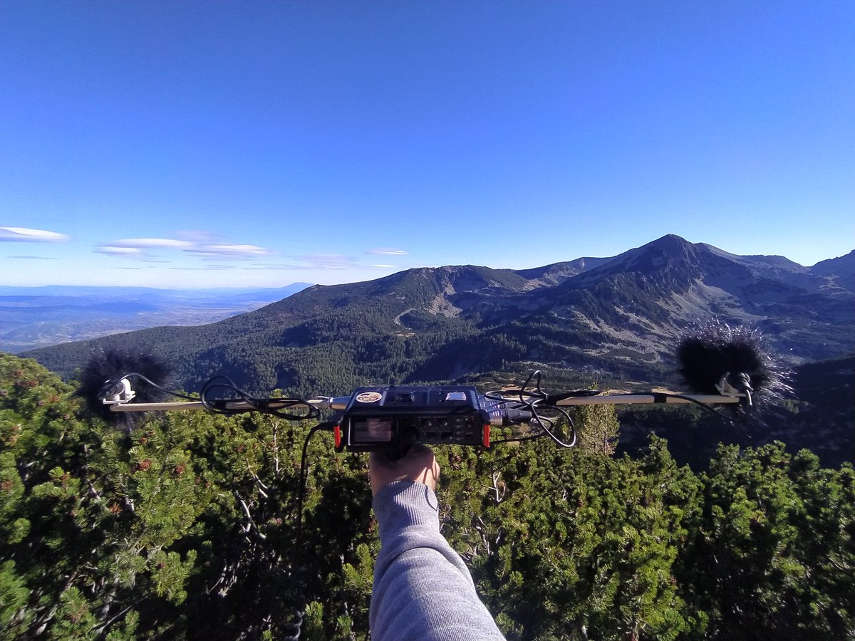 SavataIvanov's tweet photo. Pirin Mountain / Bulgaria
Multiple waterfalls in the distance form a unique soundscape.
More Sound Library by Me https://t.co/SzKQAc9gTa

#Sound #soundscape #ambien #naturesound #soundlibrary #asoundeffects #gameaudio #filmaudio #fieldrecording #Bulgaria https://t.co/g2G3MUlQax