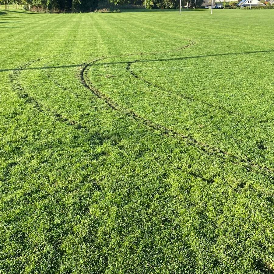 seapoint-rugby-club-on-twitter-some-very-unwanted-and-destructive