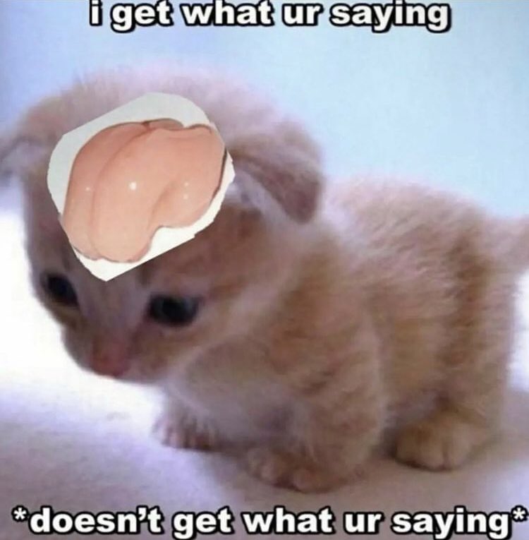 Give me Overwatch girls! Please! For the love of god! I will literally go feral for them!!!