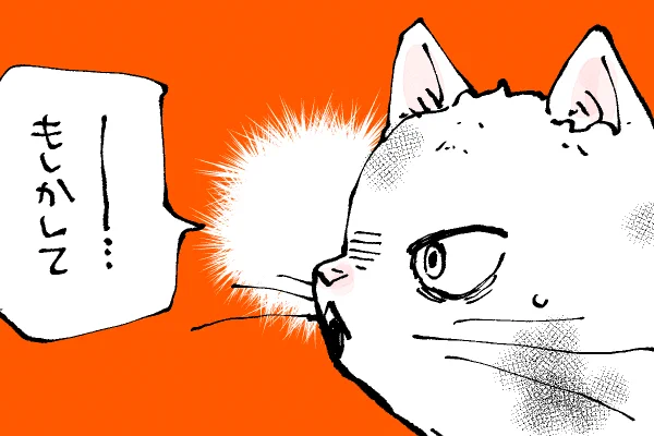 🐱キラキラにゃんこ生活
そういえば…(古い記憶) 