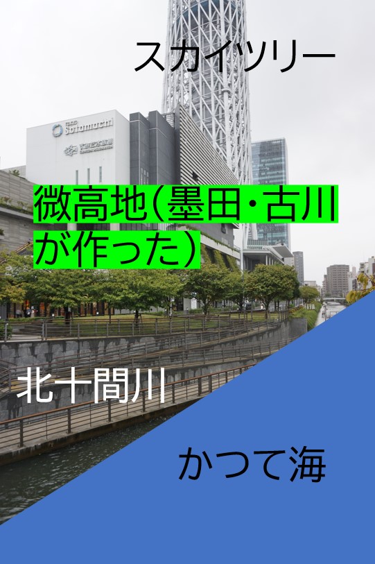 buratamori2018's tweet photo. 波や川が土砂を押し上げた場所が「押上駅」！
意外な由来でした！！（諸説あり）
ロケ地一覧😎→https://t.co/IRyXm3wS1I
#ブラタモリ　#東京スカイツリー https://t.co/Rm0MQaI0hD