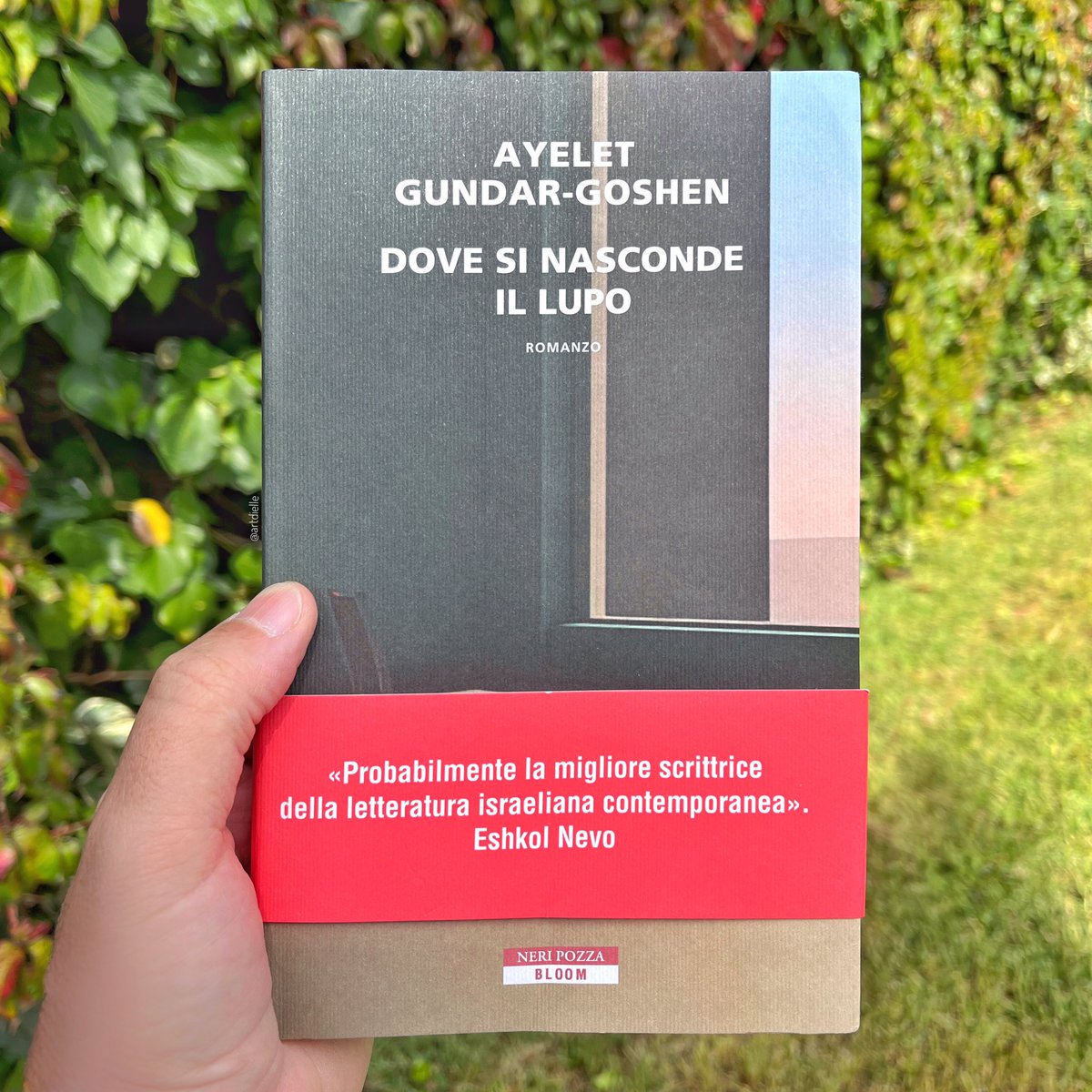 Ayelet Gundar-Goshen si cala con maestria in abissi emotivi. Dalla prima pagina la protagonista di “Dove si nasconde il lupo” teme che suo figlio possa essere un omicida. E da quel momento, fino alla fine, tremiamo con lei.
È il mio #CosaLeggoNelWeekend e voi cosa state leggendo?