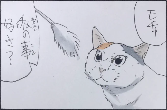 『明らかな不正』 