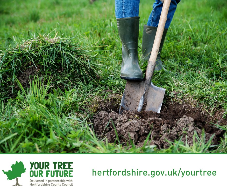 HertsmereBC's tweet photo. Planting trees can help secure a better future. We are working with @hertscc to give thousands of free trees to our residents. Visit https://t.co/D3PgvkfrWD to find out more and reserve your free trees. https://t.co/wez93hx5xM