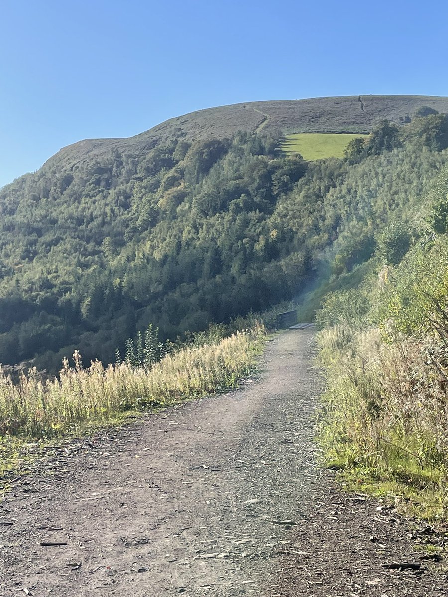 Sian_Parry's tweet photo. First 10k post surgery with a cheeky 1500ft of vert! Bloody loved it ⛰She’s back 💪🏼 🏴󠁧󠁢󠁷󠁬󠁳󠁿#trailrunningwales #trailrunning #fellrunning #ygarth #carucymru https://t.co/JEZYo2Jki4