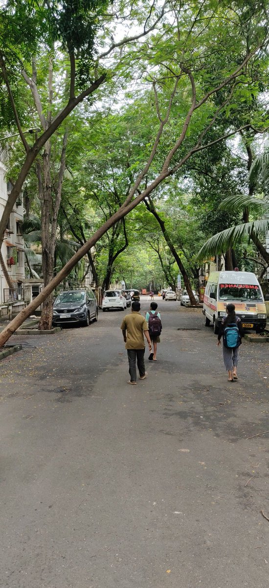 Quaint Murmur (@quaintmurmur) on Twitter photo .Tree hazard looming over us
<a href="/mybmc/">माझी Mumbai, आपली BMC</a> Kindly suggest next steps
Dm-ing details .Tree hazard looming over us
<a href="/mybmc/">माझी Mumbai, आपली BMC</a> Kindly suggest next steps
Dm-ing details