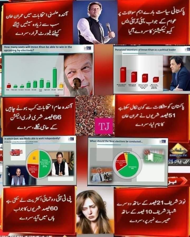 Red_Wolves1's tweet photo. عوام اس امپورٹڈ سرکار کو مکمل طور پر مسترد کر چکی ہے، یہی وجہ ہے کہ یہ امپورٹڈ ٹولہ الیکشن میں جانے سے ڈر رہا ہے۔

 #FinalCallToSavePakistan https://t.co/0gtlouoQ4U