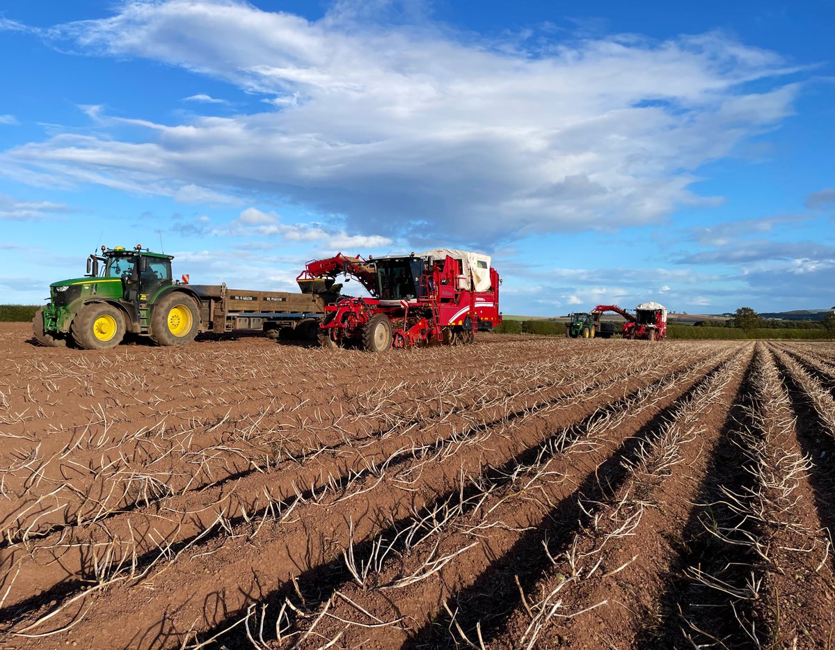 BenShoreman's tweet photo. The guys plodding along through the 🥔 harvest. Roughly 2/3 down! https://t.co/8klYvBaBNz