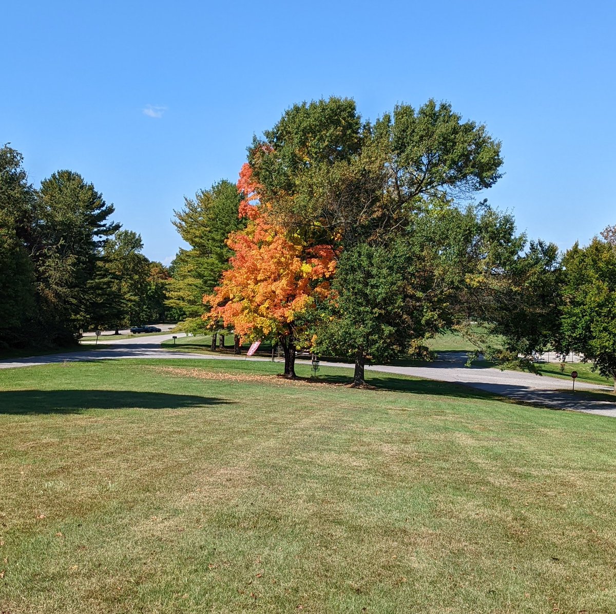 The next couple of weeks in the Mid-Atlantic are going to be 🔥. Get outside.