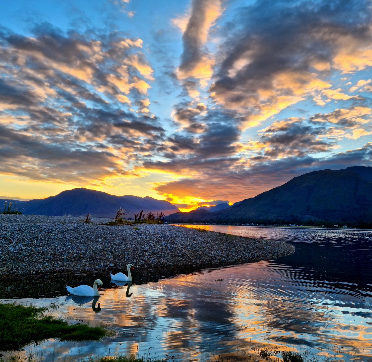 Mike Wood tweet media