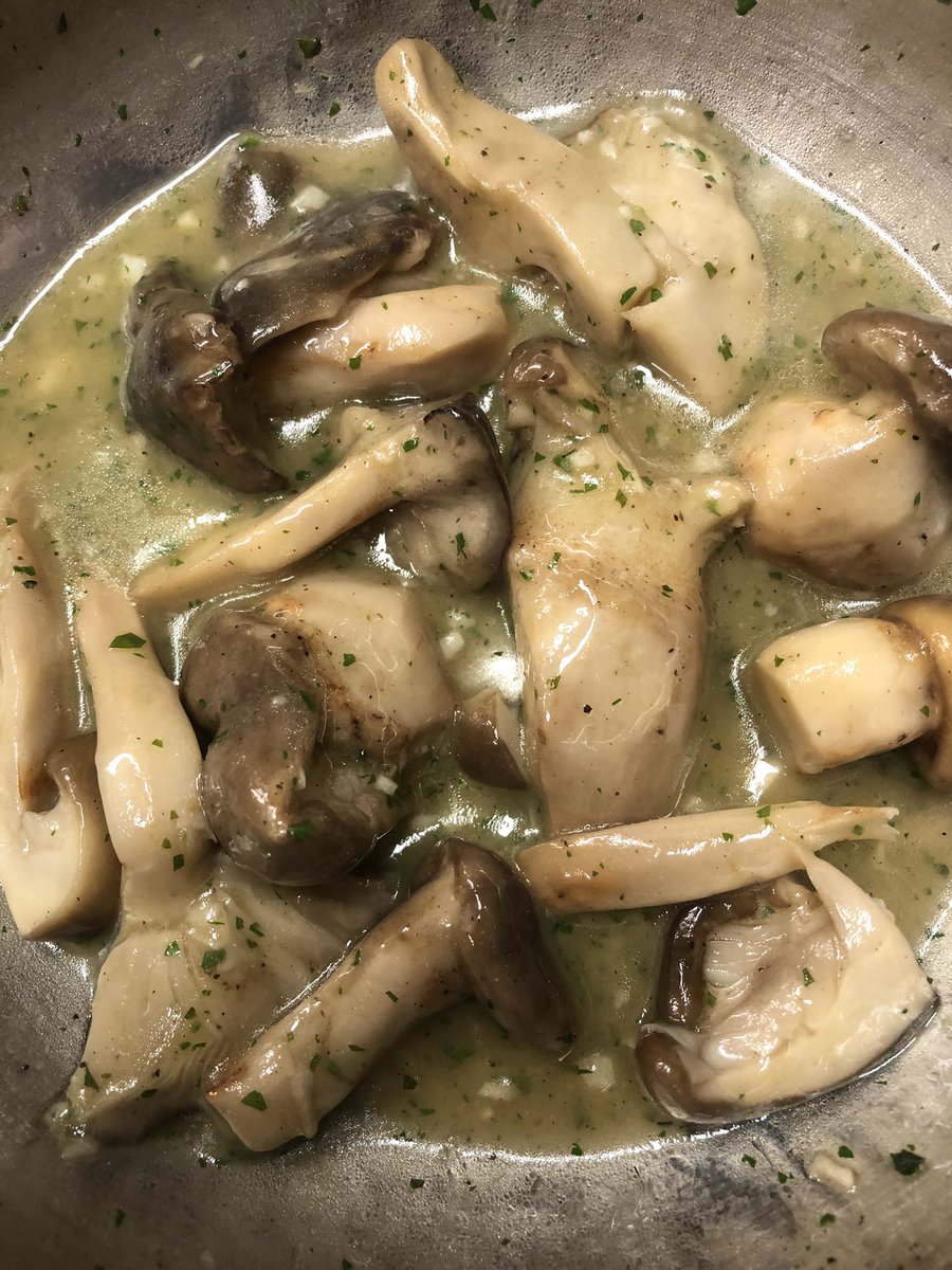 Cal_Carter's tweet image. Tador i amb ella temporada de bolets