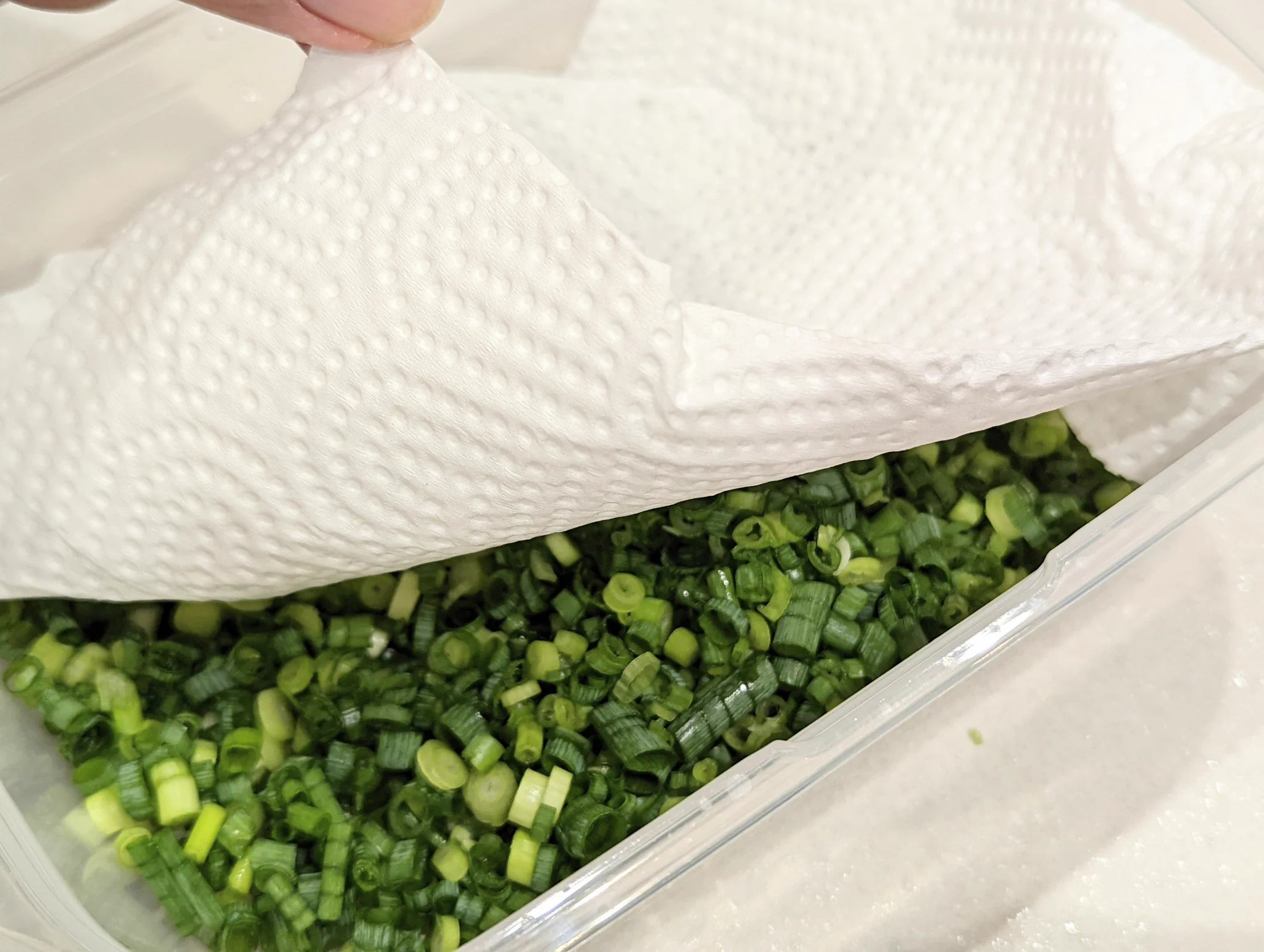 野菜の保存ライフハック。小ネギを冷凍する時はペーパーをかぶせること！