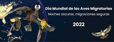 AsunCarretero's tweet photo. #8Octubre (segundo sábado octubre y 2º de mayo) #DíaMundialdelasAvesMigratorias #LikeABird #ForNature #WorldMigratoryBirdDay #WMBD2022 #SingFlySoar https://t.co/ANbz2O5Ty5