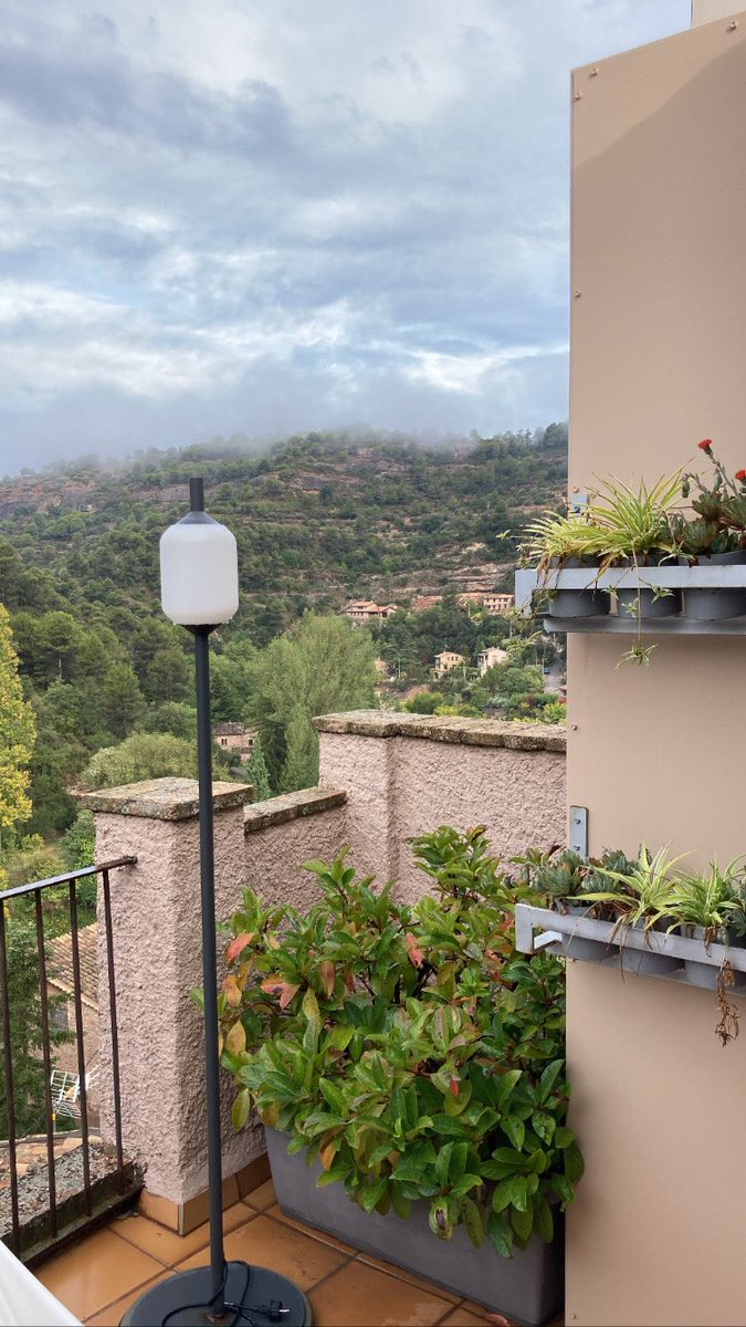 Bertaperich's tweet image. Quin dia més precios 💙