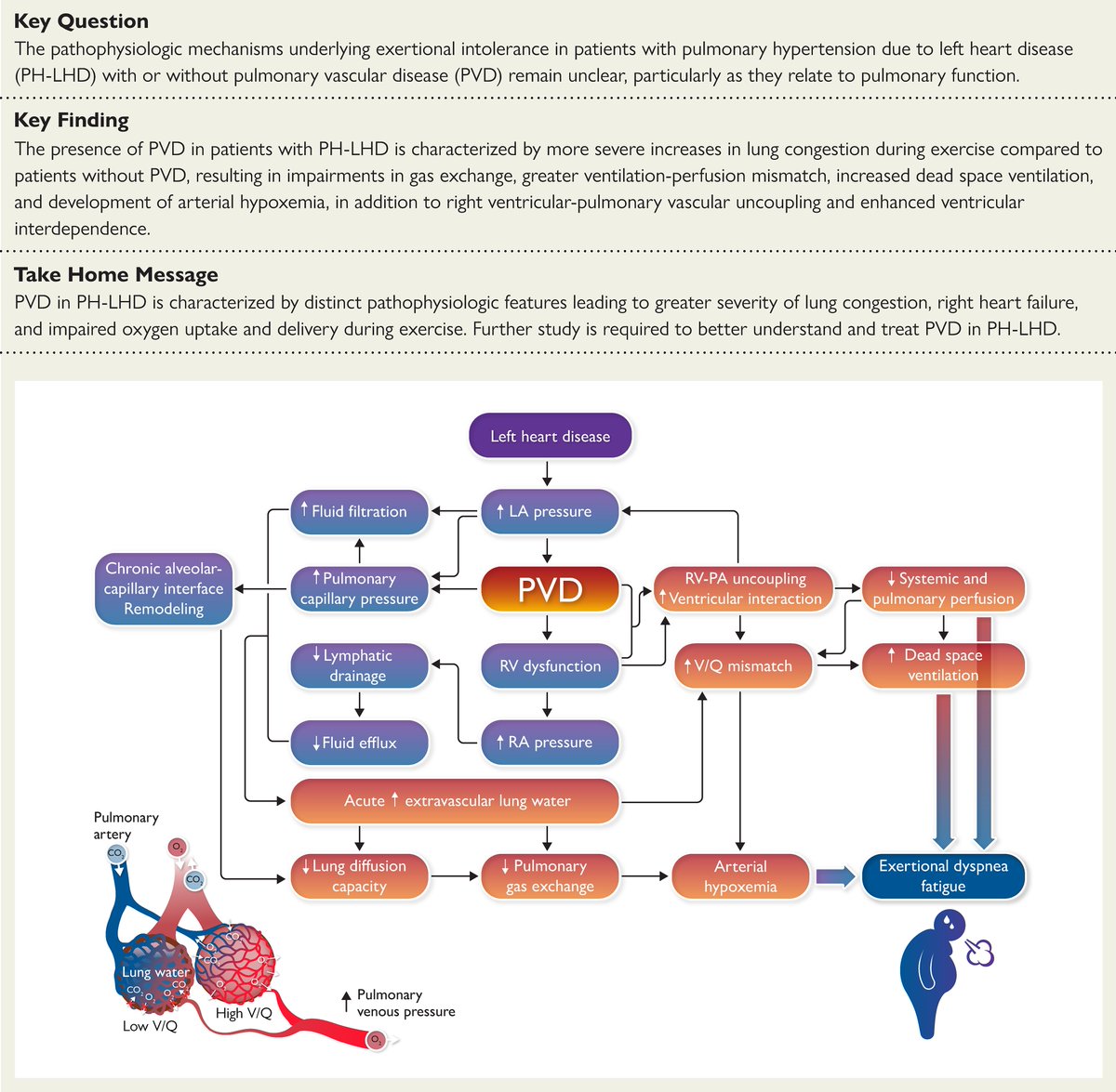 Pulmonary vascular disease in pulmonary hypertension due to left heart disease: new pathophysiologic implications stemming from a new study in the current issue. ow.ly/7F2H50L33im #pulmonaryhypertension #cardiotwitter @ESC_Journals @escardio