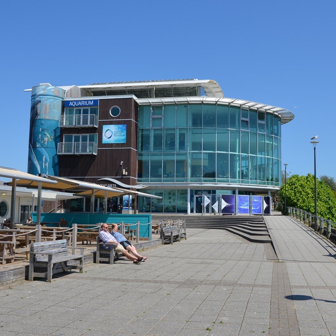 PlymReview's tweet photo. The National Marine Aquarium 🐟🐢

The price varies depending upon the time of year that you visit. However, the overall experience in the Aquarium is a lot of fun viewing all the beautiful fish and other marine life!🥰

It is a must do if you’re visiting Plymouth🤍 https://t.co/LsXbFQ0XVv
