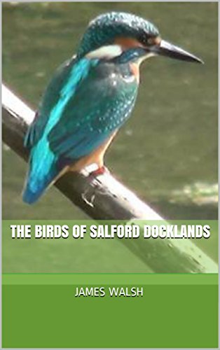 MancunianBirder's tweet image. #Salford docklands has the potential to be an #EcoTourism central hub for #GreaterManchester with vision, investment, nurturing nature, infrastructure and enterprise 

#GMGreenSummit22 #GreenNewDeal #GMBCRProject #BirdingCityRegion 

thenorthernspring.wordpress.com/2016/11/15/the…