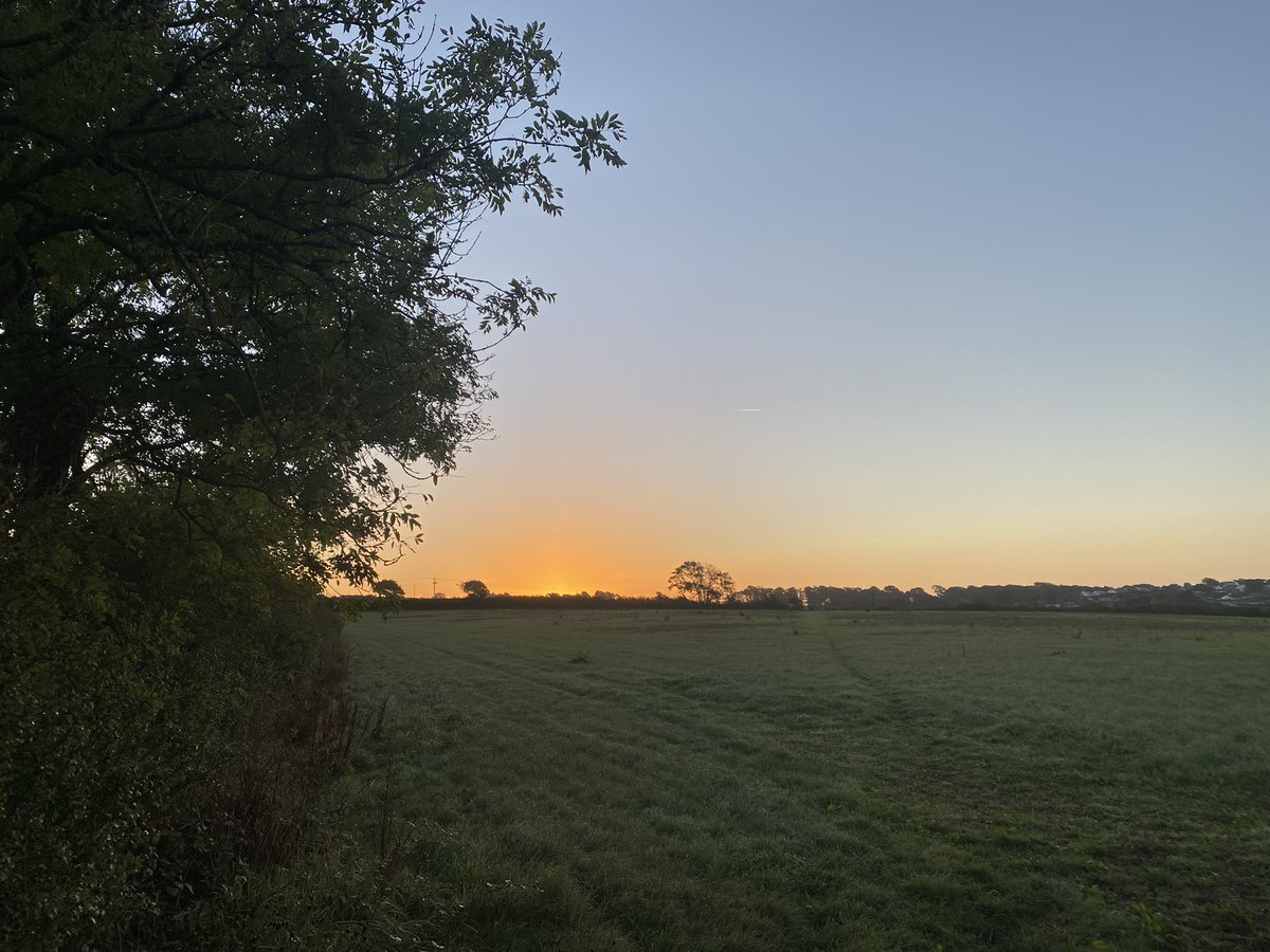 clareoreilly's tweet image. Gorgeous 9 miles with my favourite running buddy this morning as the sun came up… #devon #trailrunning #dogswhorun