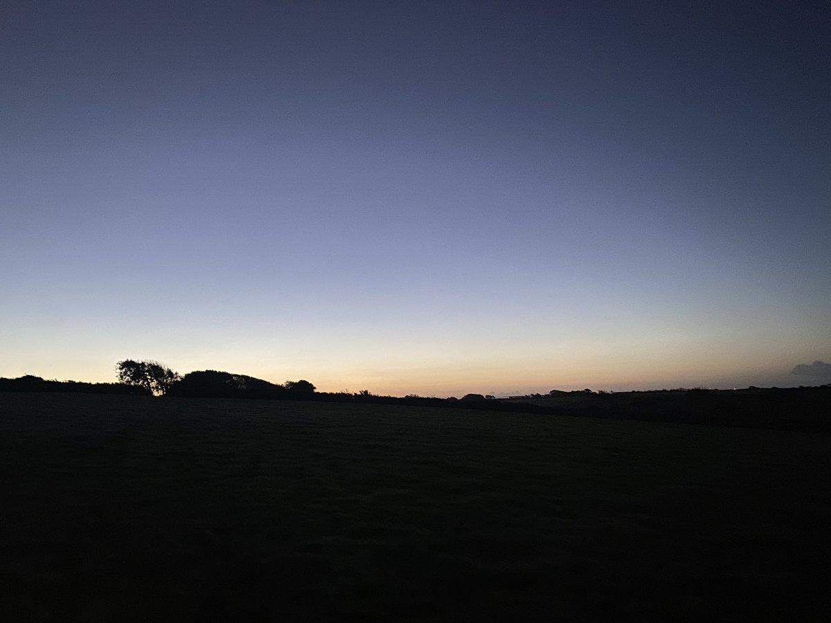 clareoreilly's tweet image. Gorgeous 9 miles with my favourite running buddy this morning as the sun came up… #devon #trailrunning #dogswhorun