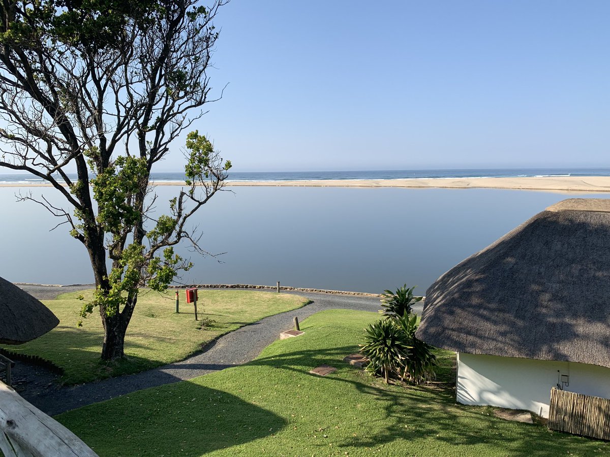 busani ngcaweni tweet media