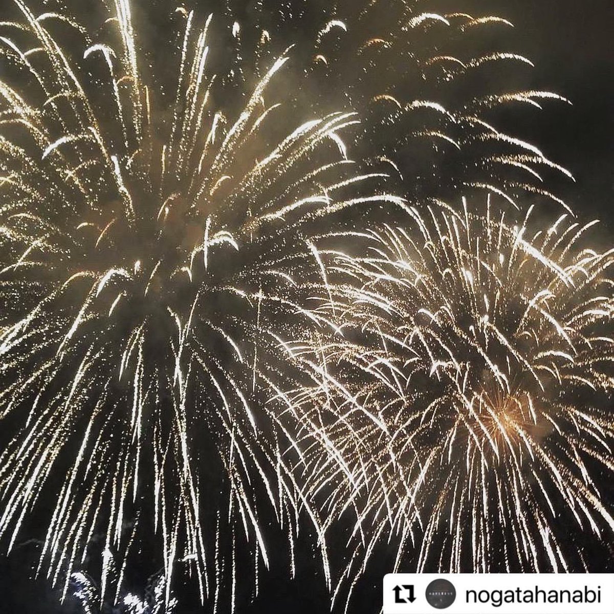 🎇 予定どおり開催します 🎇
会場は河川敷で芝生のため、足場が悪い可能性がございます☂️ご来場の際は、お気をつけてお越しくださいませ😊
また当日 <a href="/nogatahanabi/">【公式】のおがた夏まつり</a>アカウントにて、インスタライブを行います👀
お家からでも、楽しんでご覧ください♪

#直方市 #のおがた夏まつり
#のおがた夏まつり2022