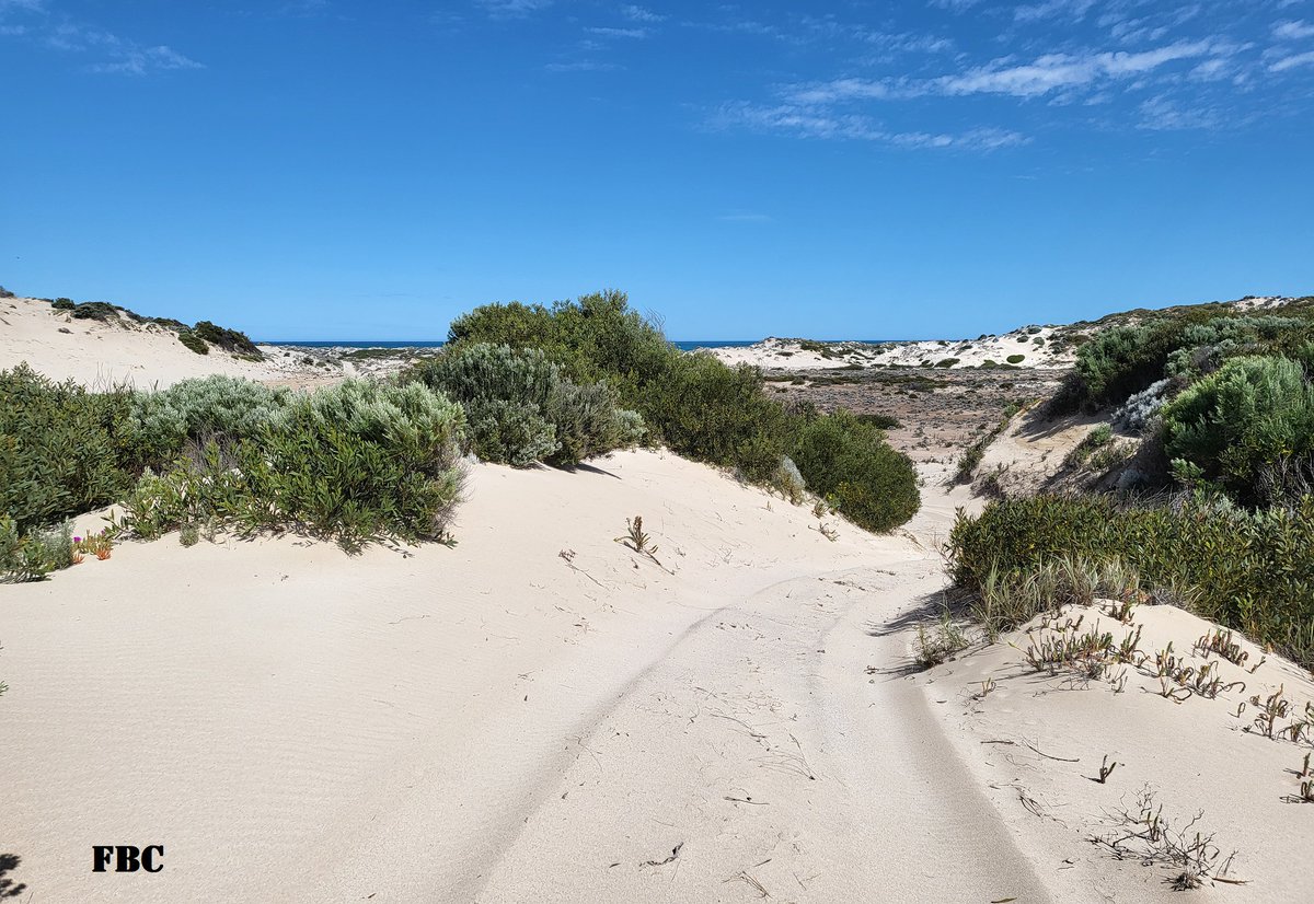 poetscott37's tweet photo. A few weeks ago I was on holiday, writing  a story. During that time I went on a ride, and a lot of fun it was. I do though have to admit to a lot of walking beyond the 'Beach' sign.
#fatbikecoastSA https://t.co/GjVlkpmOaZ
