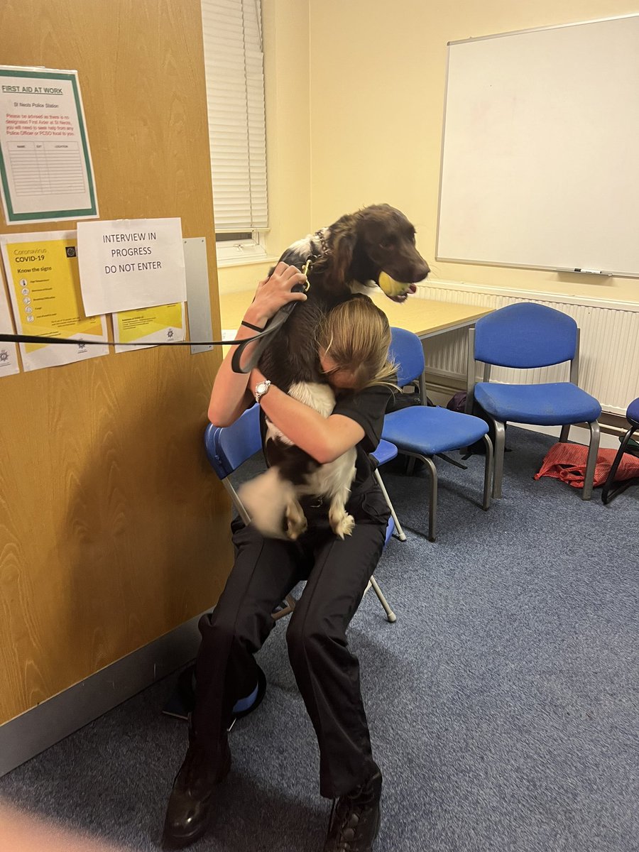 cambsvpc's tweet photo. This week #StNeotsVPC had a visit from @BCHPoliceDogs with PD Walt ๐ถ & his โmumโ ๐ฎ๐ปโโ๏ธ He demonstrated how he finds cash drugs and firearms as a specialist search dog ๐ and his favourite pass timeโฆ his ๐พ https://t.co/xo5WXEDhRJ