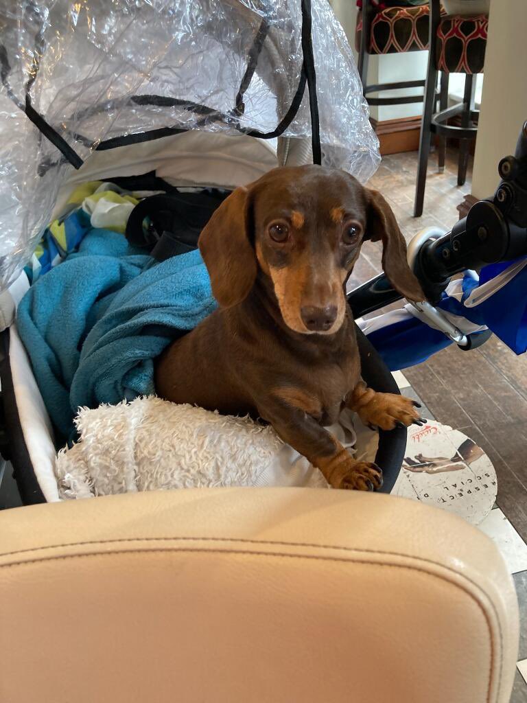 jerseyboyslady's tweet photo. @martin_compston still buzzing after a hilarious lunch yesterday with @JaneyGodley & honey .the bag lady scene in #traces1 will have new meaning now #bustedknee. #heels look at this face https://t.co/57Gc14377e