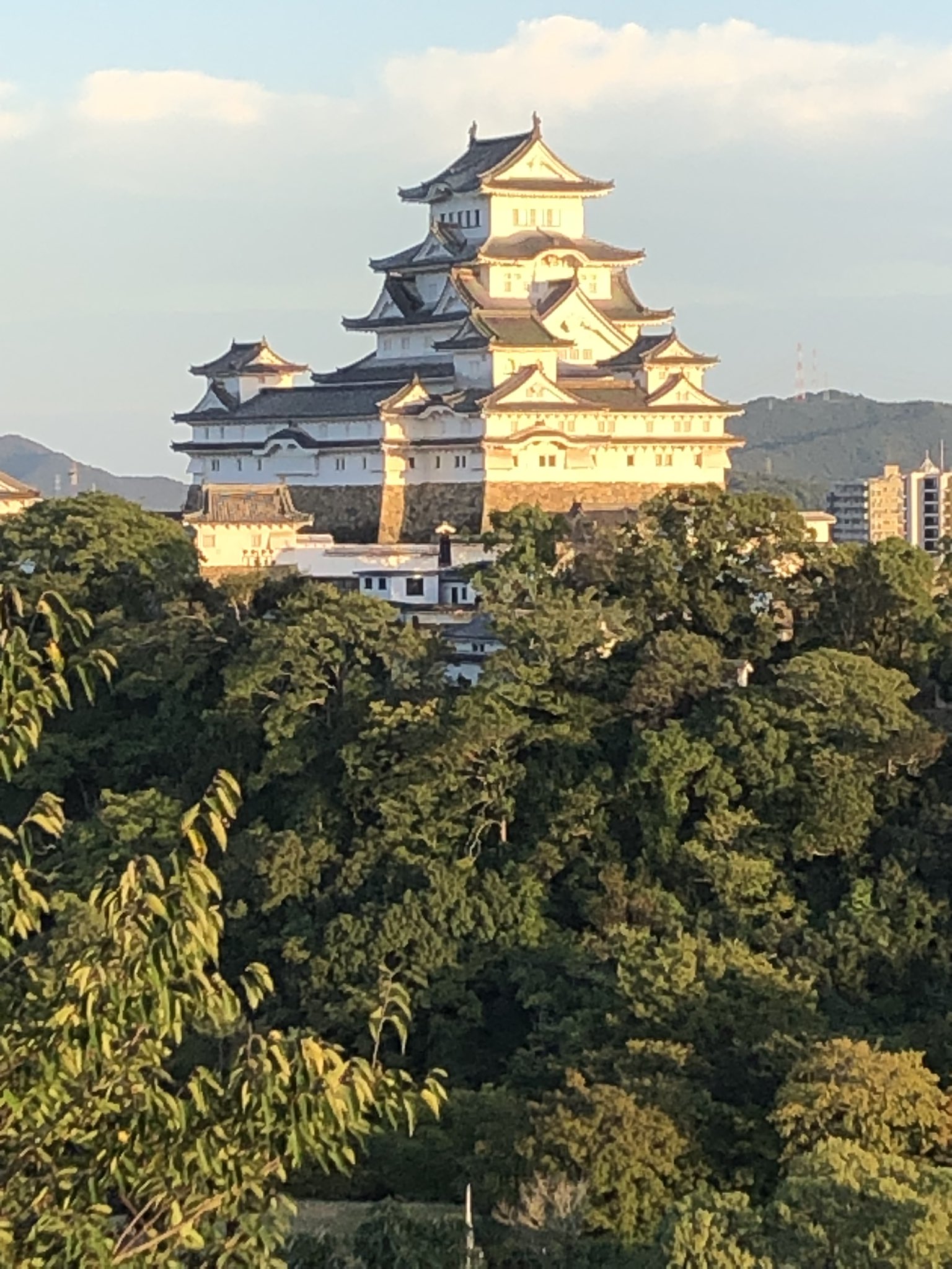 男山配水池公園 Twitter Search Twitter