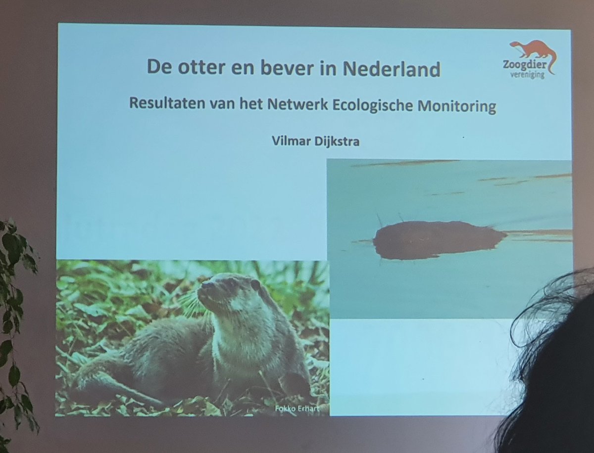 Cindy de Jonge-Stegink tweet media