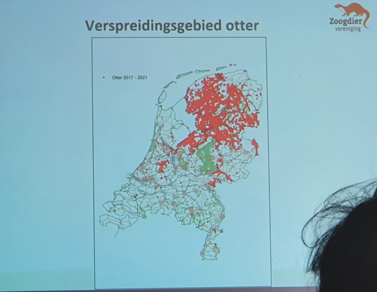 Cindy de Jonge-Stegink tweet media